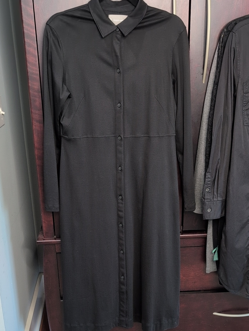 Everlane Midi Shirt Dress M